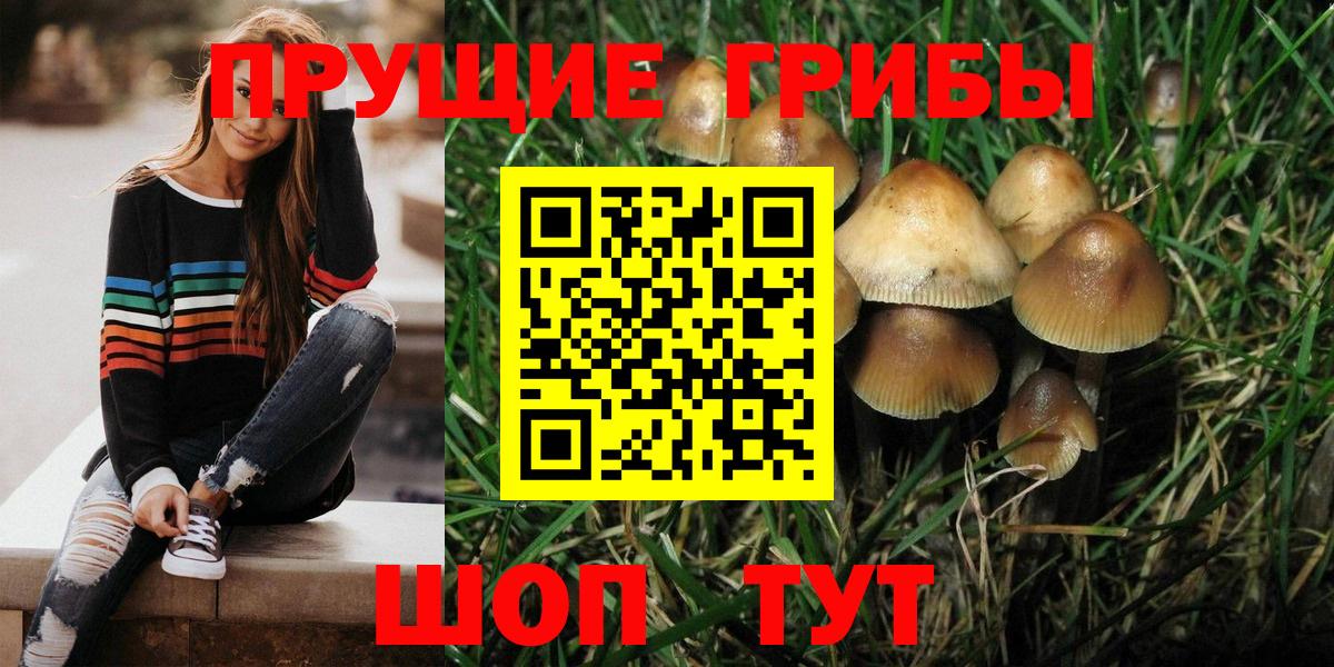 купить наркотик  Псилоцибиновые грибы MAGIC MUSHROOMS  Вход с VPN  Городец 